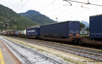 DVN - Endlich mehr Maßnahmen auf Südtiroler Seite